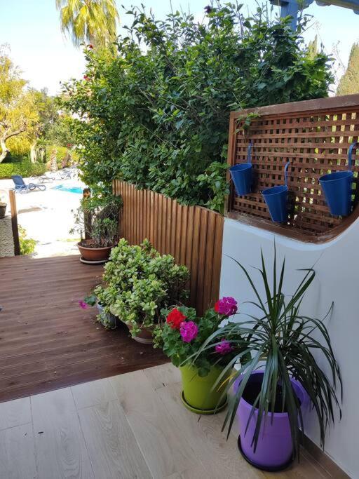 Rachel Suite By The Pool Paphos Esterno foto
